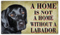 A Home Is Not A Home Without A Labrador Dog 8x14