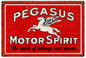 Pegasus Motorr Oil 12x18