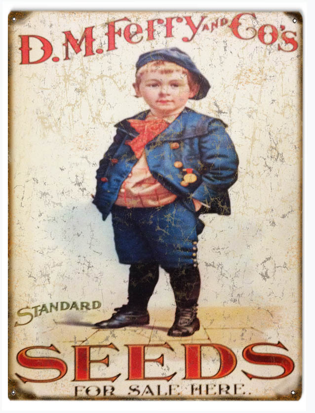 D.M.Ferry And Co’s Standard Seeds For Sale Here 9x12