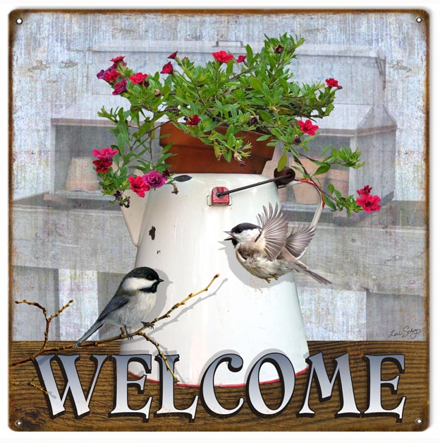 Welcome Country 12x12