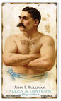 Allen & Ginters Cigarettes 8×14