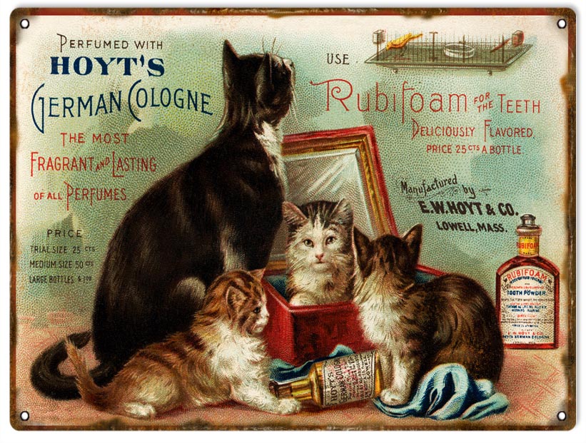 Rubifoam For The Teeth 9×12
