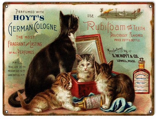 Rubifoam For The Teeth Vintage Style Metal Sign 9 × 12