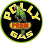 Polly Prem Gasoline 18 x 18