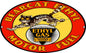 Bearcat Ethyl Motor Fuel 11×18