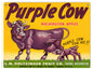 Purple Cow Apples 9×12