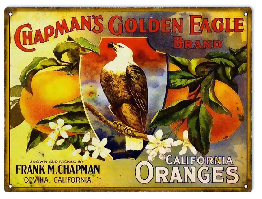 Chapmans Golden Eagle Oranges 9×12