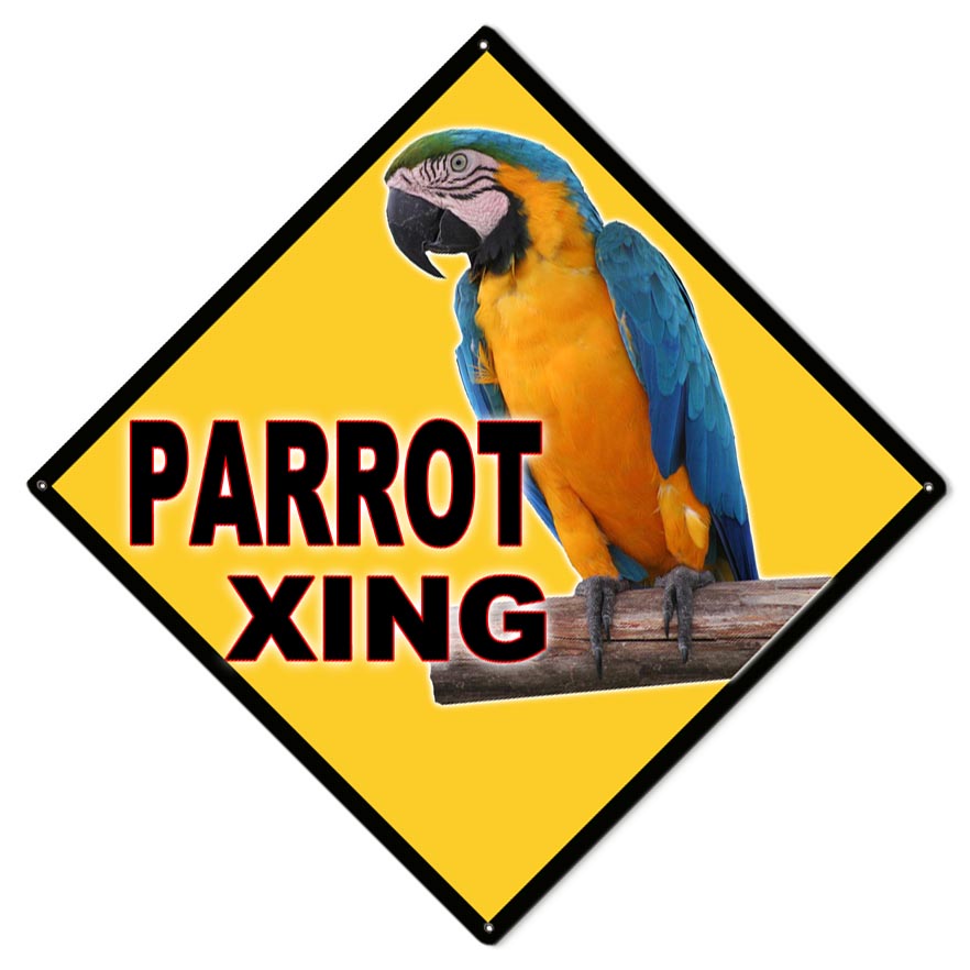 Parrot Xing 12×12