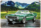 Mustang GT 500 Donna Wayman-Mauer 12x18
