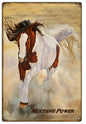 Mustang Power Donna Wayman-Mauer 12x18