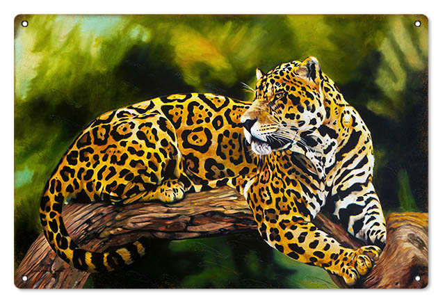 Jaguar Classic Donna Wayman-Mauer 12″x18″