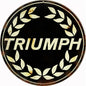 Triumph Motorcycle 30 x 30