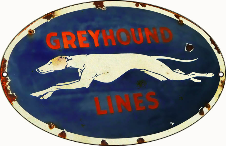 Greyhound Lines Bus 9×14