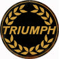 Triumph Motorcycle Gold 24 x 24