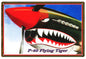 Curtiss P-40 Flying Tiger 12×18