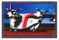 Coast Guard Amphibian Search Rescue Plane 12 x 18