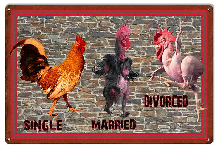 Single Married Divorced Rooster 12×18