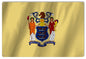 New Jersey State Flag 12×18