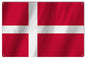 Denmark International Flag. 12×18