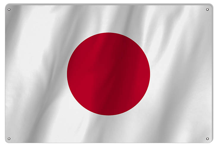 Japan International Flag. 12×18