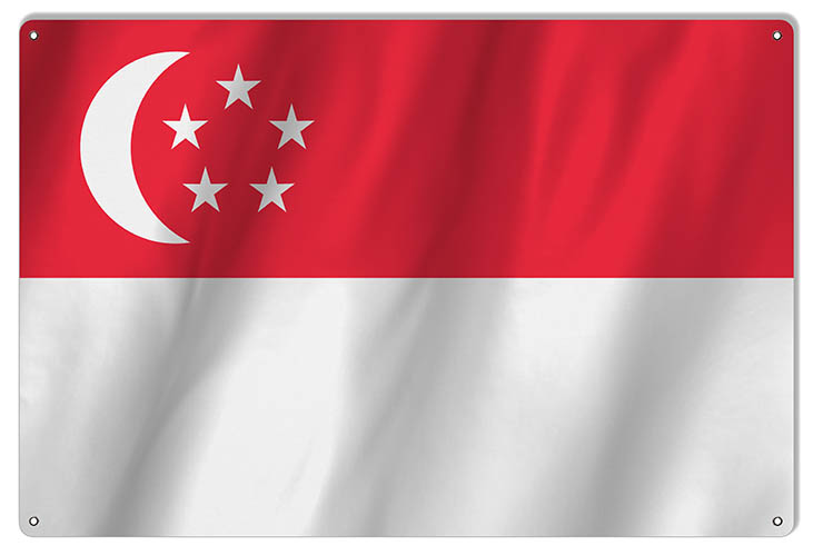 Singapore International Flag. 12×18