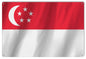 Singapore International Flag. 12×18