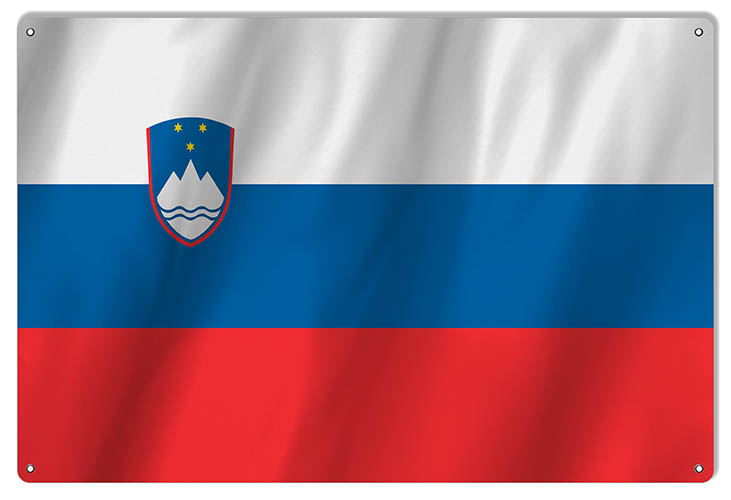 Slovania International Flag. 12×18