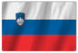 Slovania International Flag. 12×18