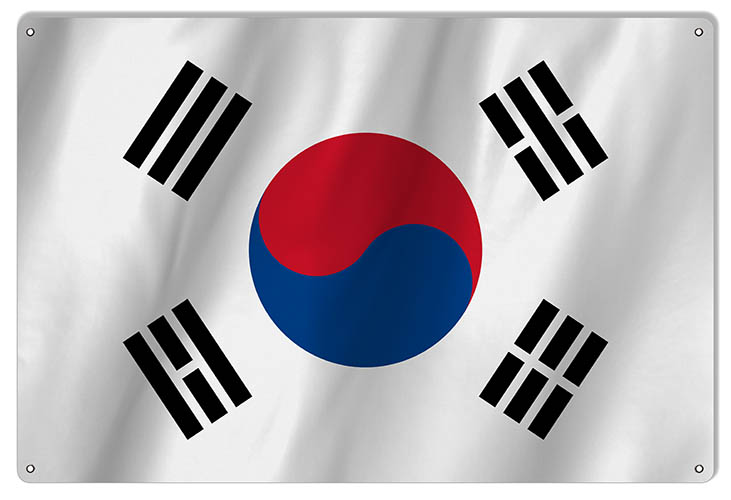 South Korea International Flag. 12×18