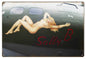 Nose Art Sally B Pin Up Girl 12×18