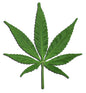 Marijuana Leaf 13×11 1/2