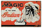 Magic In The Name Indian 16×24
