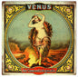 Venus Tobacco 12x12