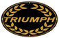 Black Triumph Motorcycle 15×24