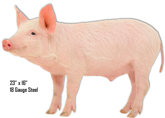 Pig Animal Vintage Style Metal Sign 16 × 23