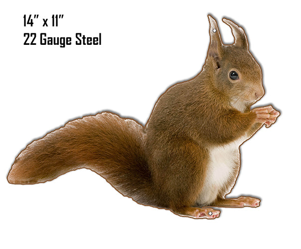 Squirrel Animal 11×14
