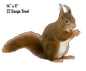 Squirrel Animal 11×14