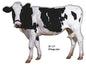Side View Of Cow Animal 17×23