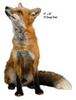 Fox Animal 17×23
