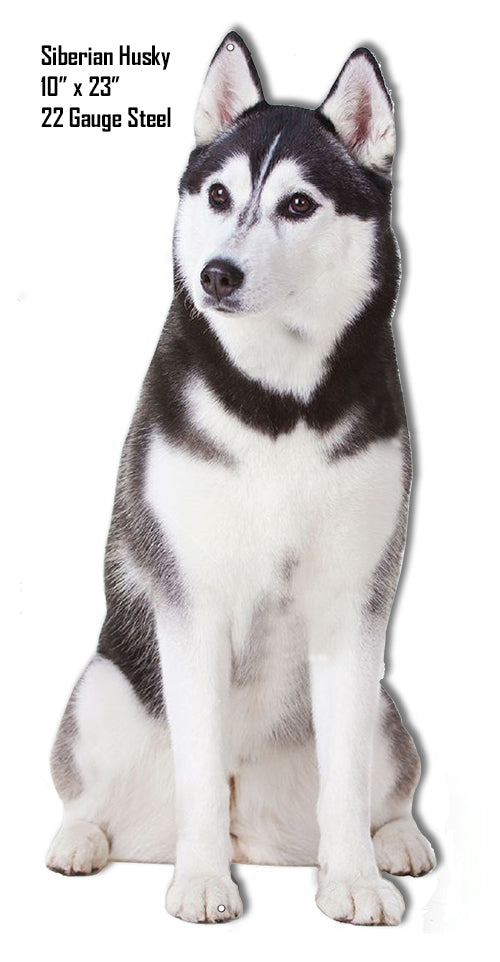 Side View Siberian Husky 10×23
