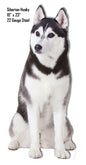 Side View Siberian Husky 10×23