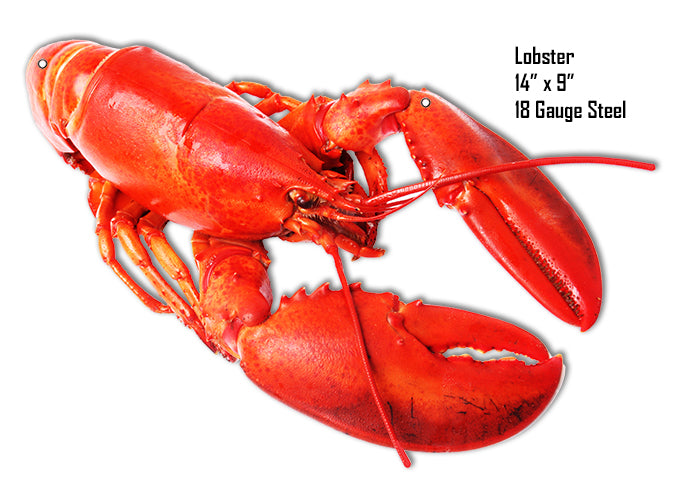 Lobster Water Animal 9×14