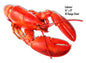 Lobster Water Animal 9×14