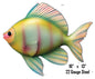 Pink Yellow Blue Tropical Fish 13×16
