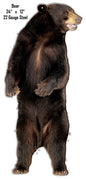 Standing Bear Animal 12×24