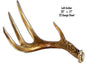 Left Antler Animal 17×23
