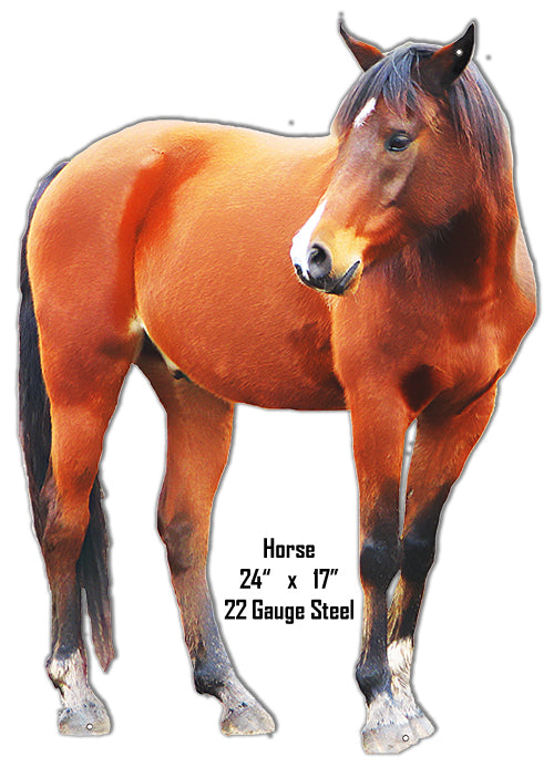 Horse Animal 17×24