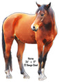 Horse Animal 17×24
