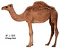 Camel Animal 18×22