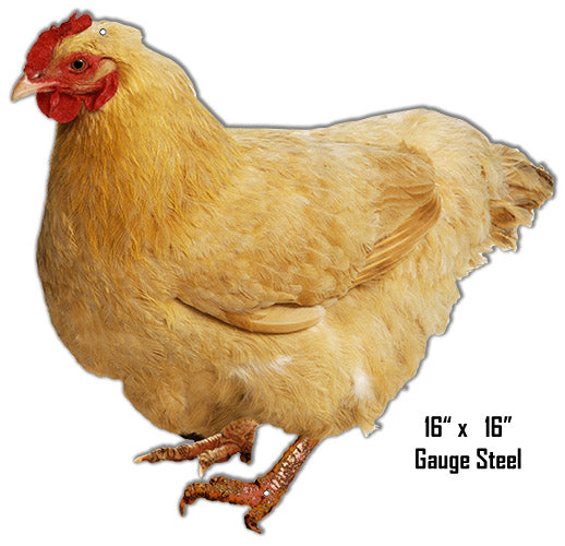 Hen Animal Vintage Style Metal Sign 16 × 17